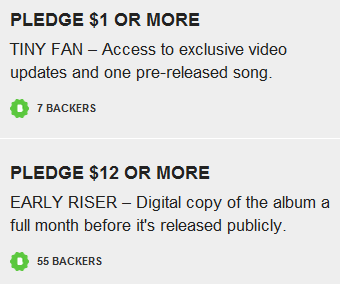 This screenshot is from a Kickstarter page for San Francisco band My First Earthquake Kickstarter pledge levels