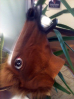 Andrew's Godfather Horse Head for Egg drop 