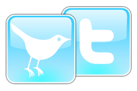 Twitter Logo 8 Social Media tips