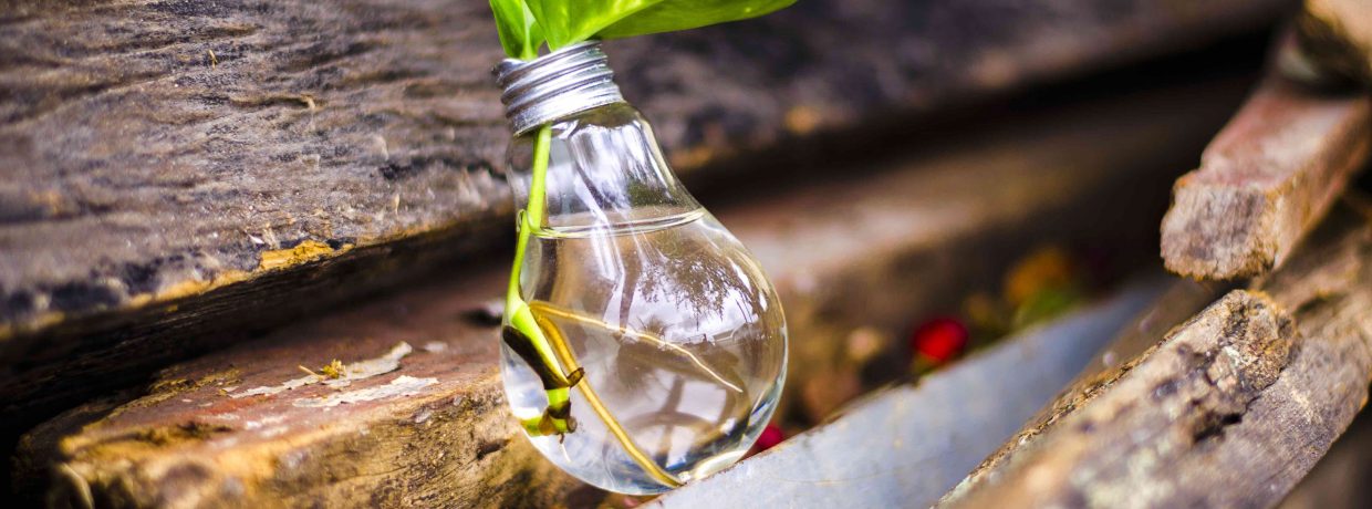 Show how you will nurture your ideas over the long term.