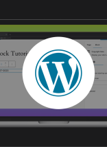 What are my options for WordPress editors?
