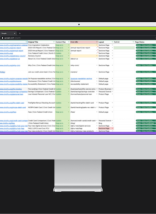 What issues does a content audit expose?
