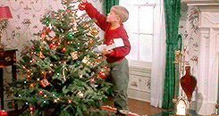 Thief watching Xmas tree