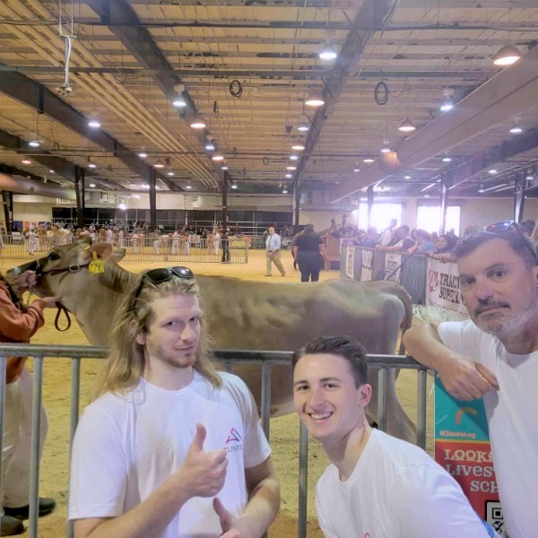 A cow and Scott, Connor and Matt. 